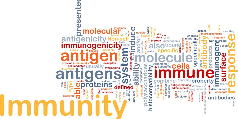 Immunity medical background concept